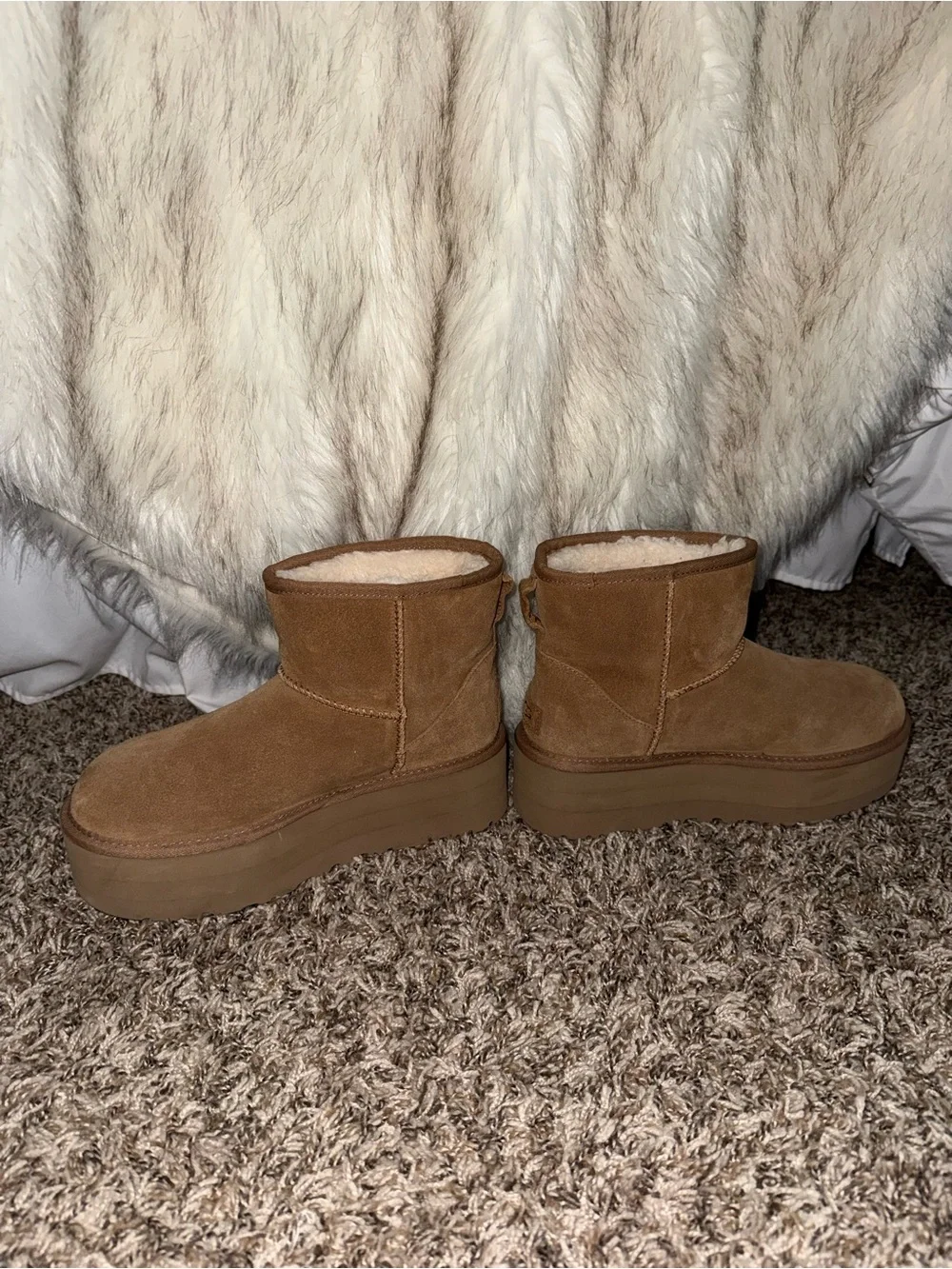UGG Classic mini platform boot in chestnut